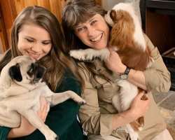 No doubt she is an animal lover which she got in heritage from her parents. She has adopted two dogs in her home No doubt she is an animal lover which she got in heritage from her parents. She has adopted two dogs in her home.